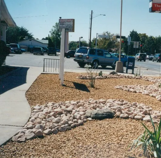 Reliable yard maintenance in Albuquerque, NM - Omega Landscaping