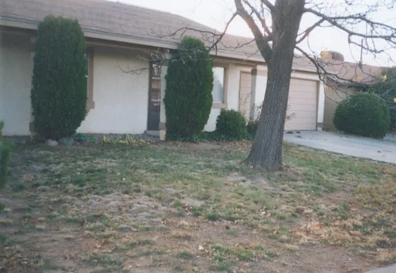 Professional landscape design in Albuquerque, NM by Omega Landscaping