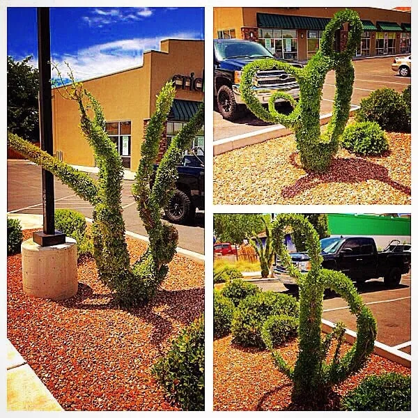 Professional landscape installation experts serving Albuquerque, NM - Omega Landscaping