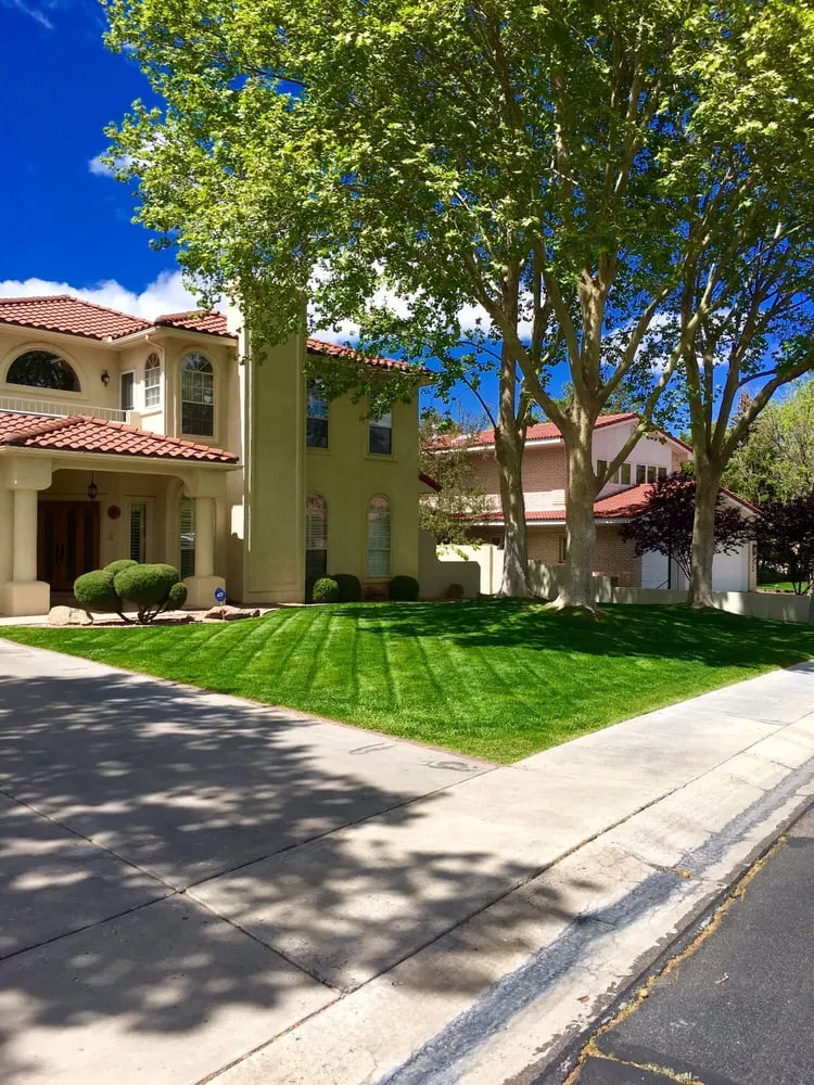 Reliable landscape design experts serving Albuquerque, NM - Omega Landscaping