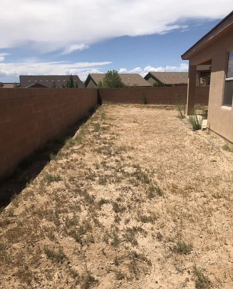 Reliable yard maintenance with custom design in Albuquerque, NM by Omega Landscaping