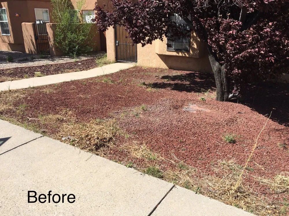Custom landscaping services experts serving Albuquerque, NM - Omega Landscaping