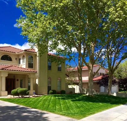 Omega Landscaping Logo