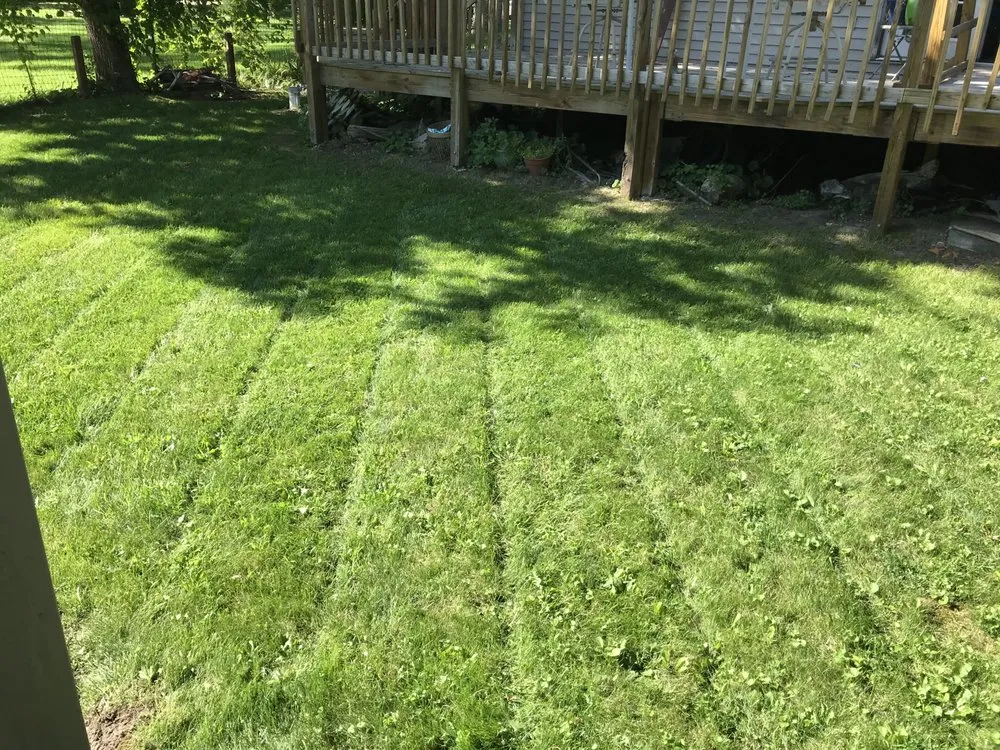 Custom residential landscaping for residential properties in Burton, MI by Omega Landscaping