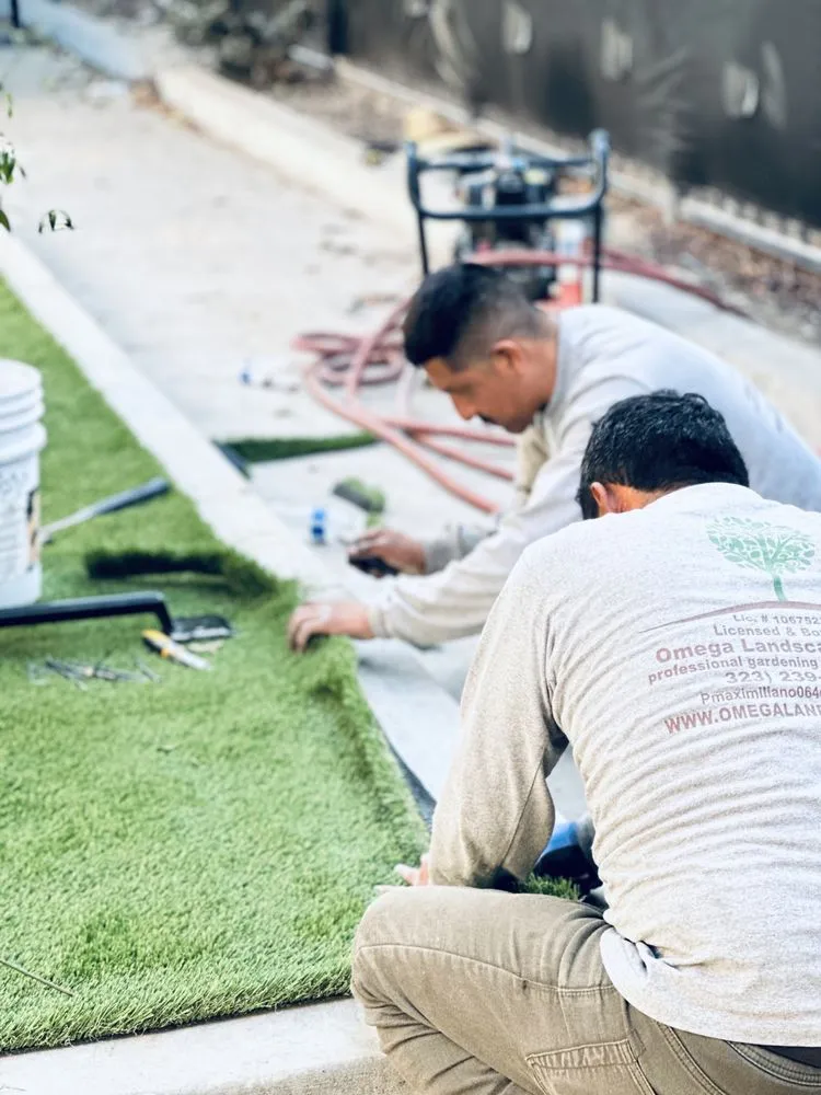 Local lawn care service for year-round maintenance across Los Angeles, CA - Omega Landscaping