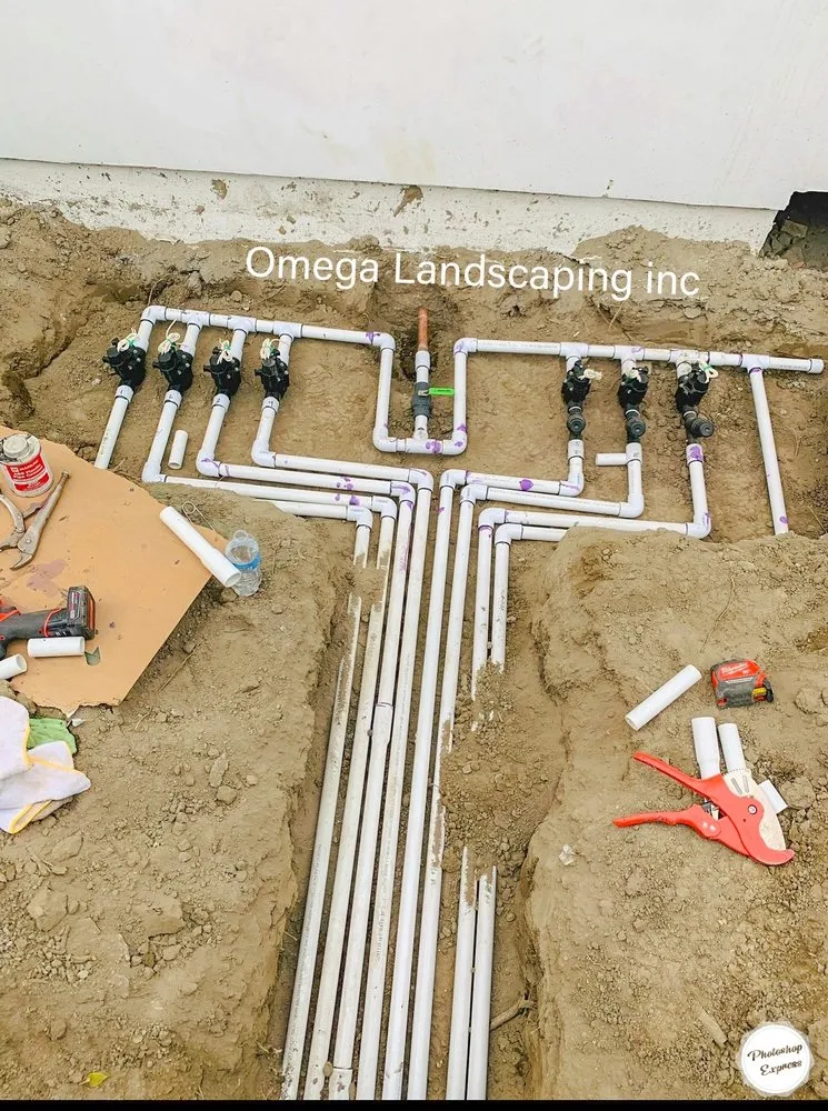 Top-rated landscape installation in Los Angeles, CA - Omega Landscaping