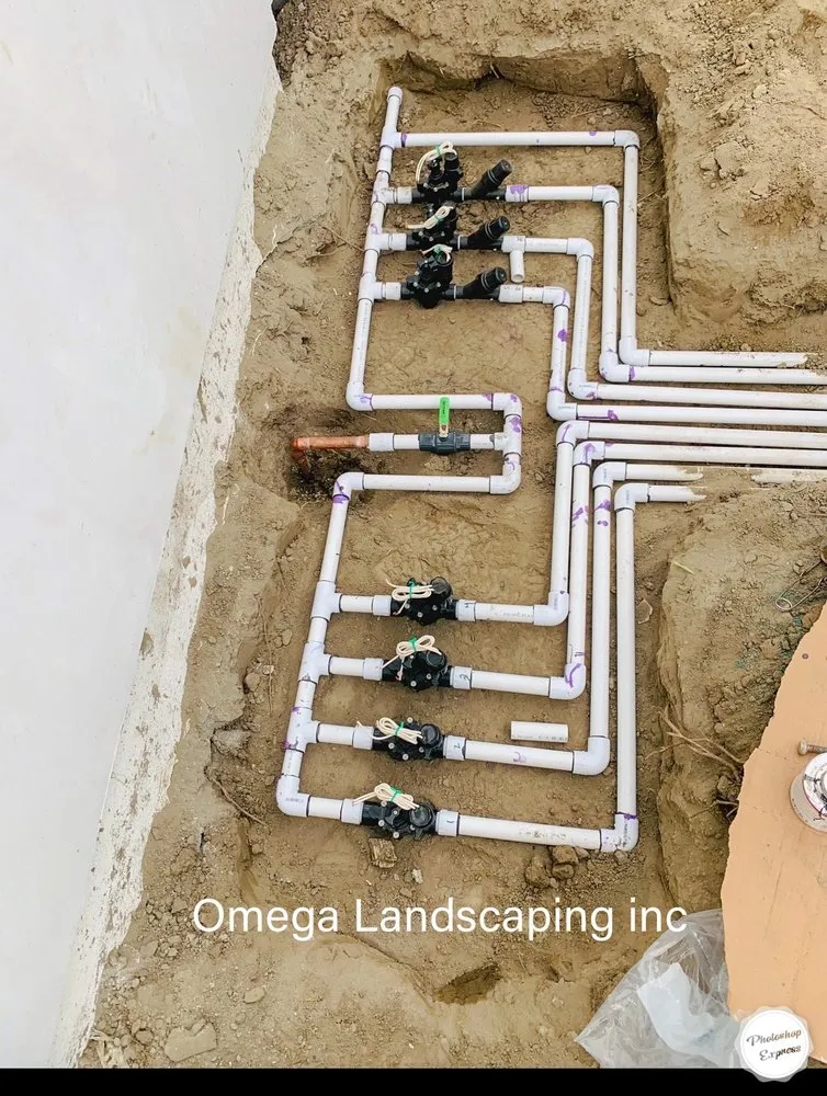 Professional landscape design for residential properties in Los Angeles, CA by Omega Landscaping