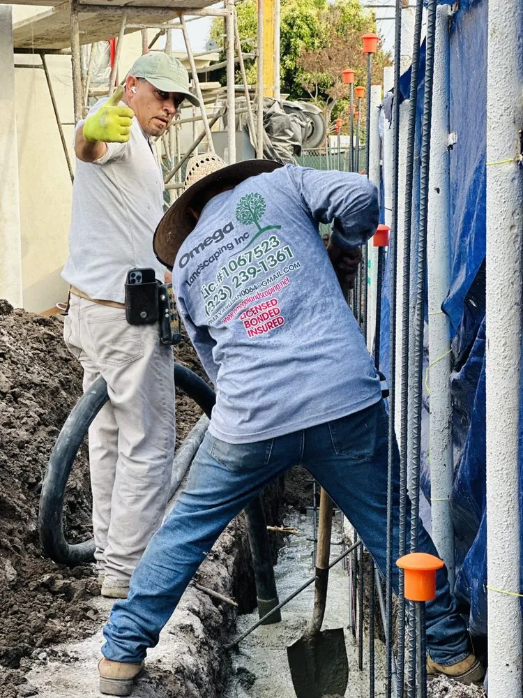 Local landscaping services for outdoor upgrades in Los Angeles, CA by Omega Landscaping