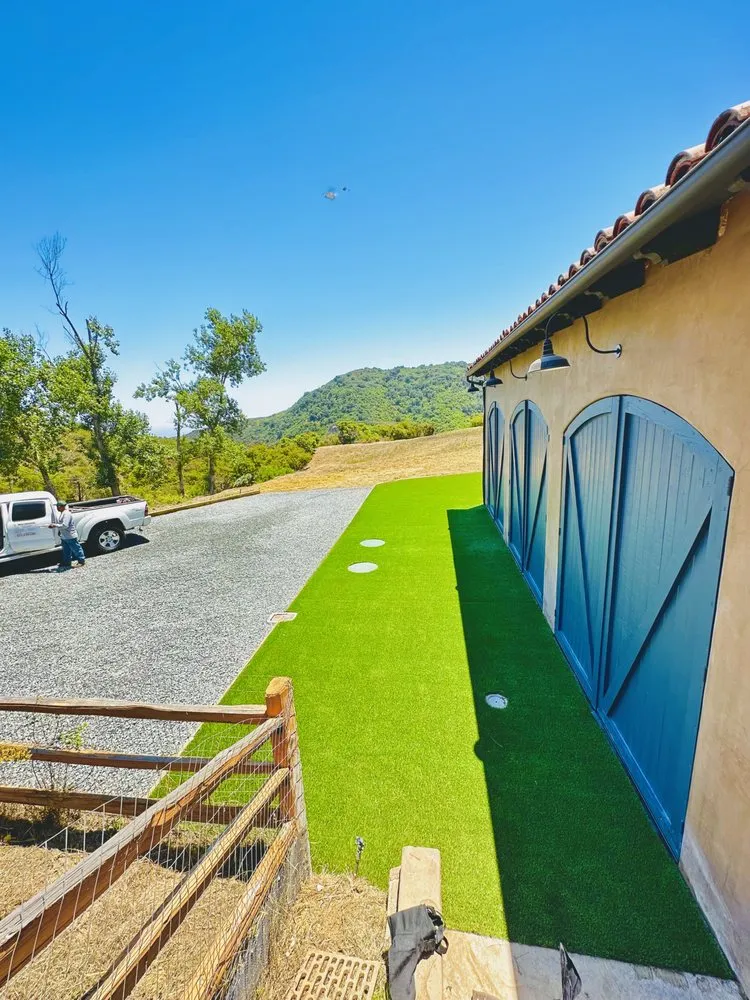 Expert yard cleanup service in Los Angeles, CA by Omega Landscaping