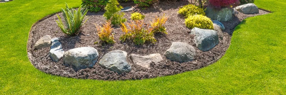 Professional yard cleanup service with custom design in Longview, TX by Omega Lawn & Landscape