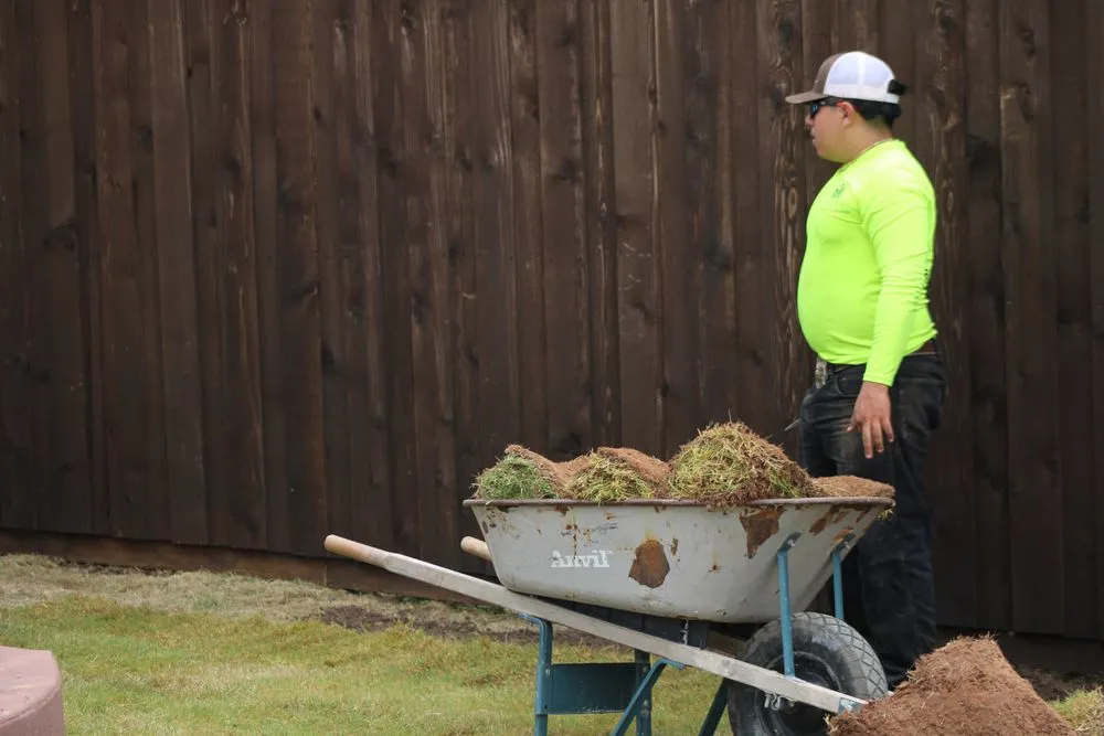 Professional outdoor landscaping in Royse City, TX - Omega Lawn & Landscape