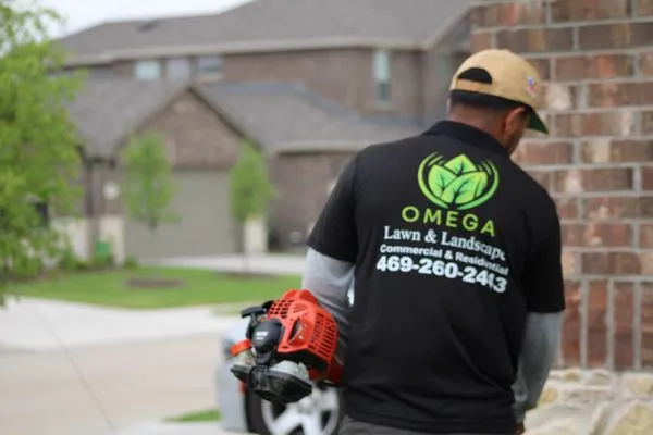 Omega Lawn & Landscape Logo
