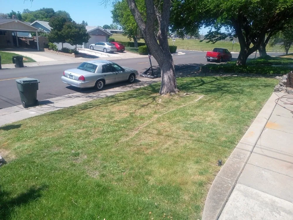 Affordable garden landscaping in North Highlands, CA - Omega Lawn Pros