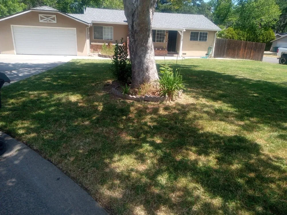 Expert lawn care service near you in North Highlands, CA by Omega Lawn Pros