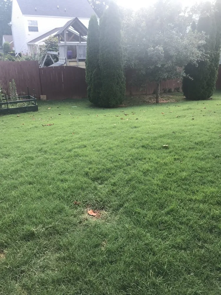 Reliable landscape design in Lawrenceville, GA - Omega Lawncare