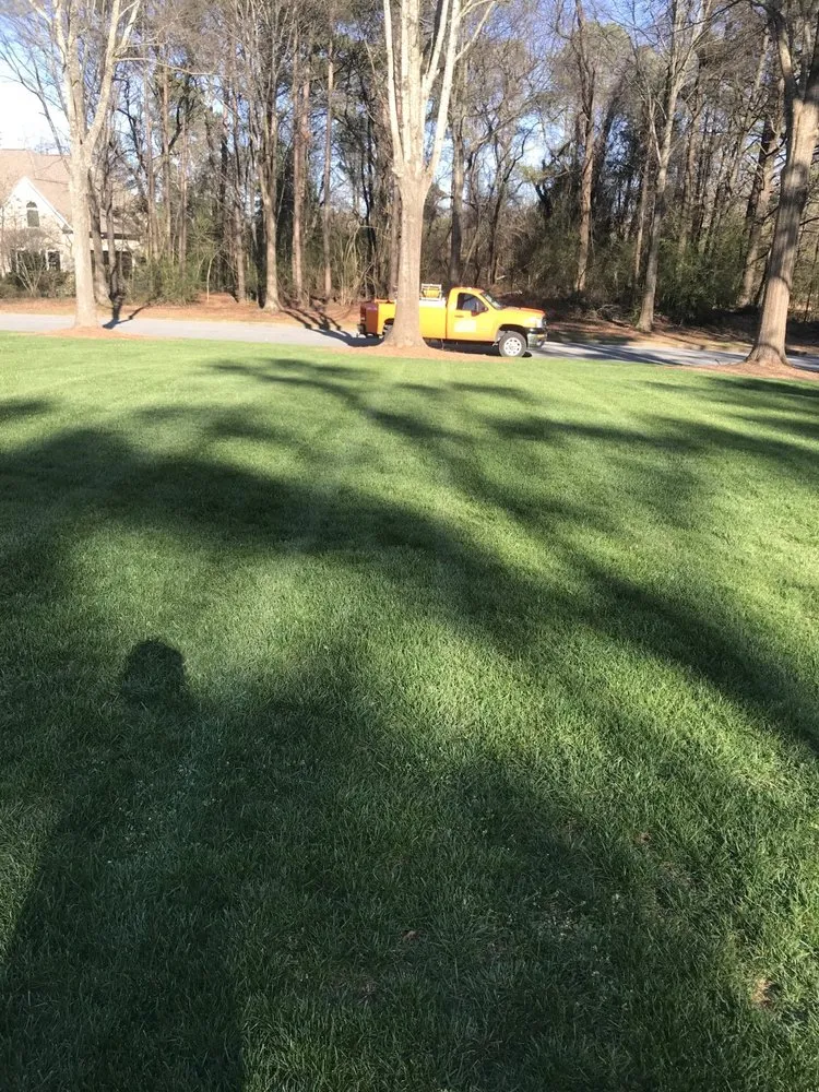 Top-rated landscape installation in Lawrenceville, GA by Omega Lawncare