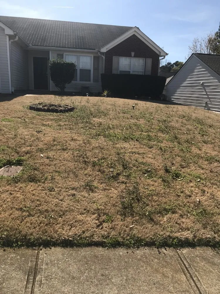 Reliable landscape installation in Lawrenceville, GA by Omega Lawncare