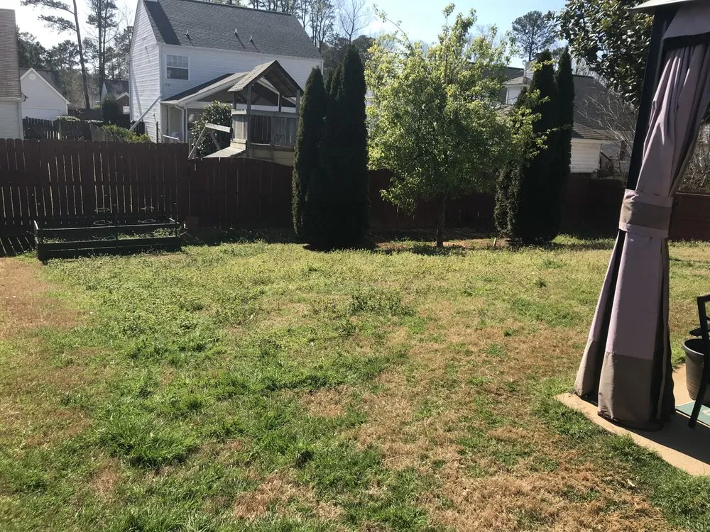 Local yard cleanup service experts serving Lawrenceville, GA - Omega Lawncare