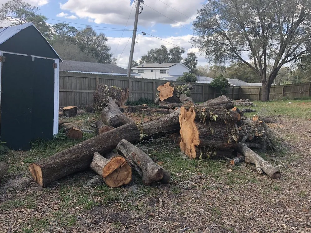 Top-rated landscaping services for year-round maintenance in Lakeland, FL by Omega Solution Specialists