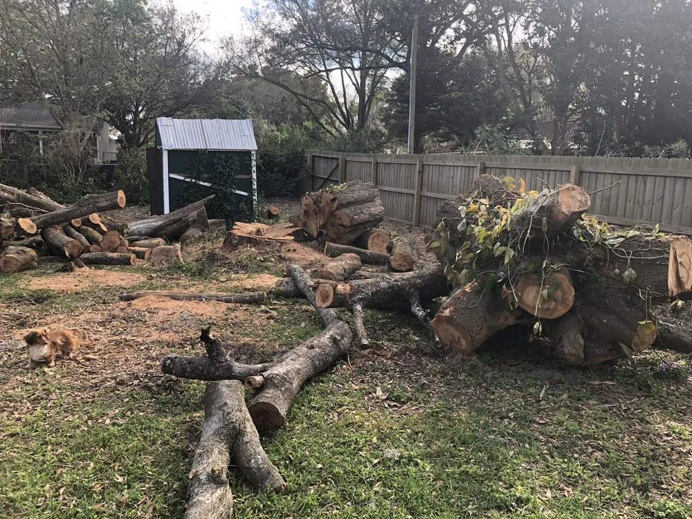 Custom landscape design in Lakeland, FL - Omega Solution Specialists