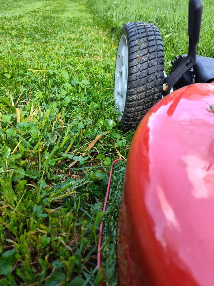 Trusted lawn care service in Columbus, OH - Omega Window Cleaning