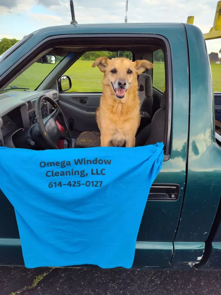 Trusted yard cleanup service for homes in Columbus, OH by Omega Window Cleaning