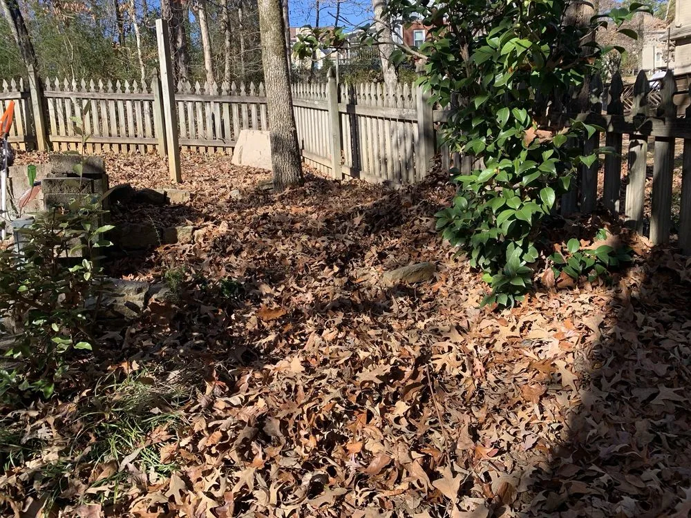 Local yard cleanup service experts serving Alabaster, AL - OmegaScapes