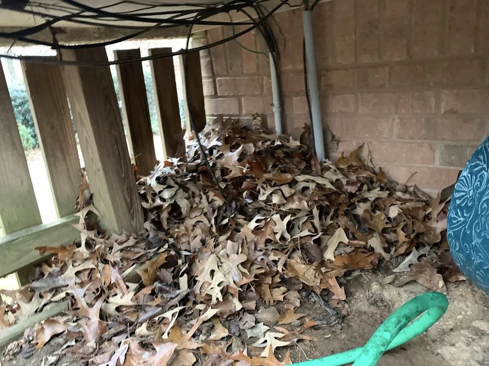 Affordable lawn care service with custom design across Alabaster, AL - OmegaScapes