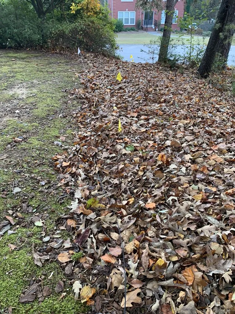 Expert landscape installation experts serving Alabaster, AL - OmegaScapes