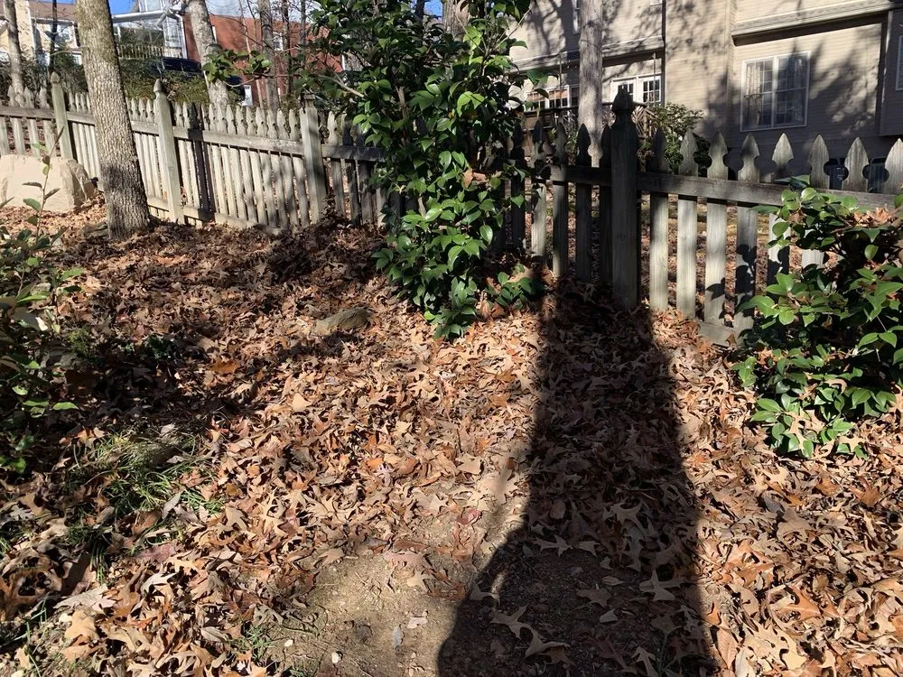 Affordable yard maintenance in Alabaster, AL - OmegaScapes