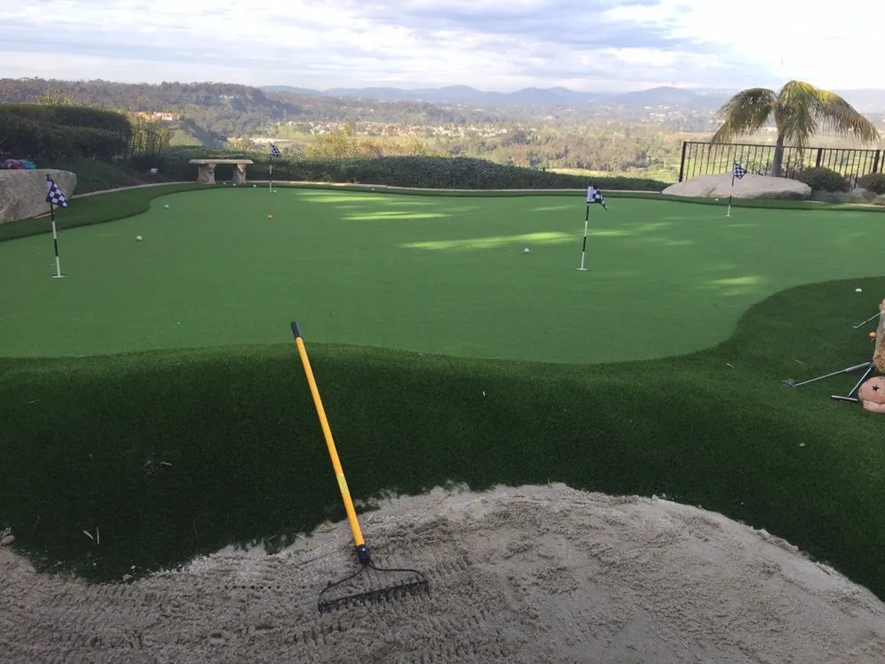 Local yard cleanup service experts serving La Mesa, CA - OmegaTurf