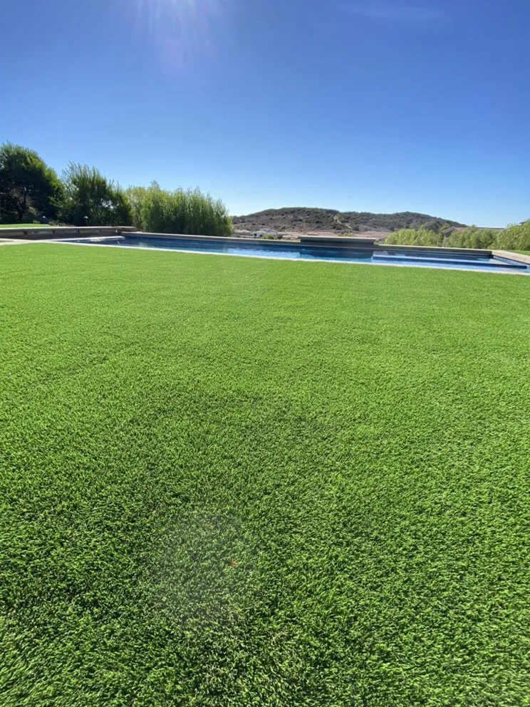 Expert yard maintenance for homes in La Mesa, CA by OmegaTurf