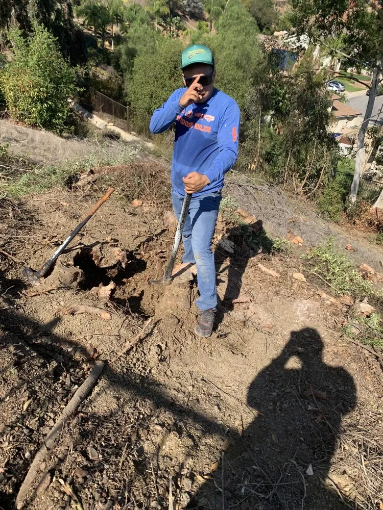 Reliable yard maintenance for beautiful yards in Covina, CA by OMG Landscaping & Tree Care