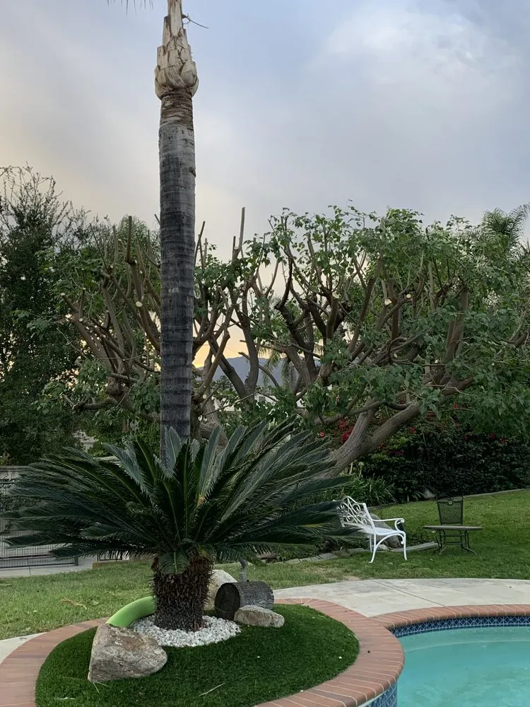 Reliable landscaping services for beautiful yards in Covina, CA by OMG Landscaping & Tree Care