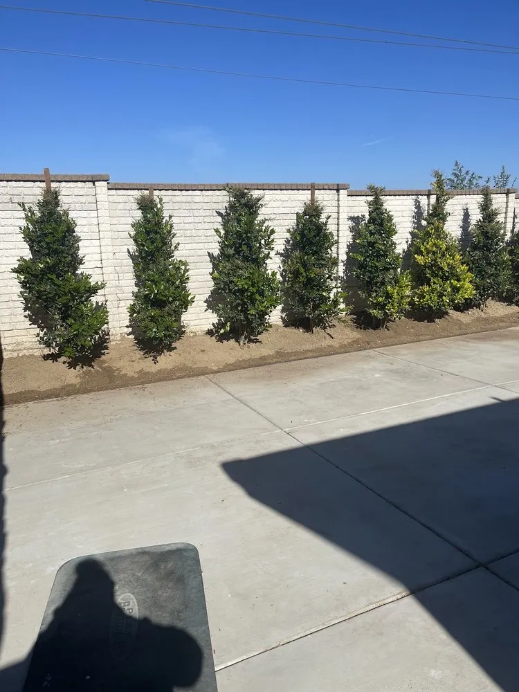 Professional garden landscaping with custom design across Covina, CA - OMG Landscaping & Tree Care