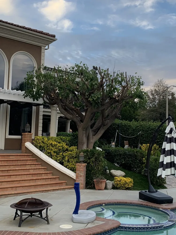 Reliable yard maintenance in Covina, CA - OMG Landscaping & Tree Care