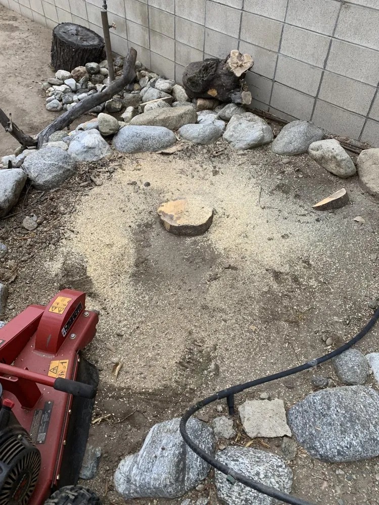 Affordable landscaping services in Covina, CA by OMG Landscaping & Tree Care