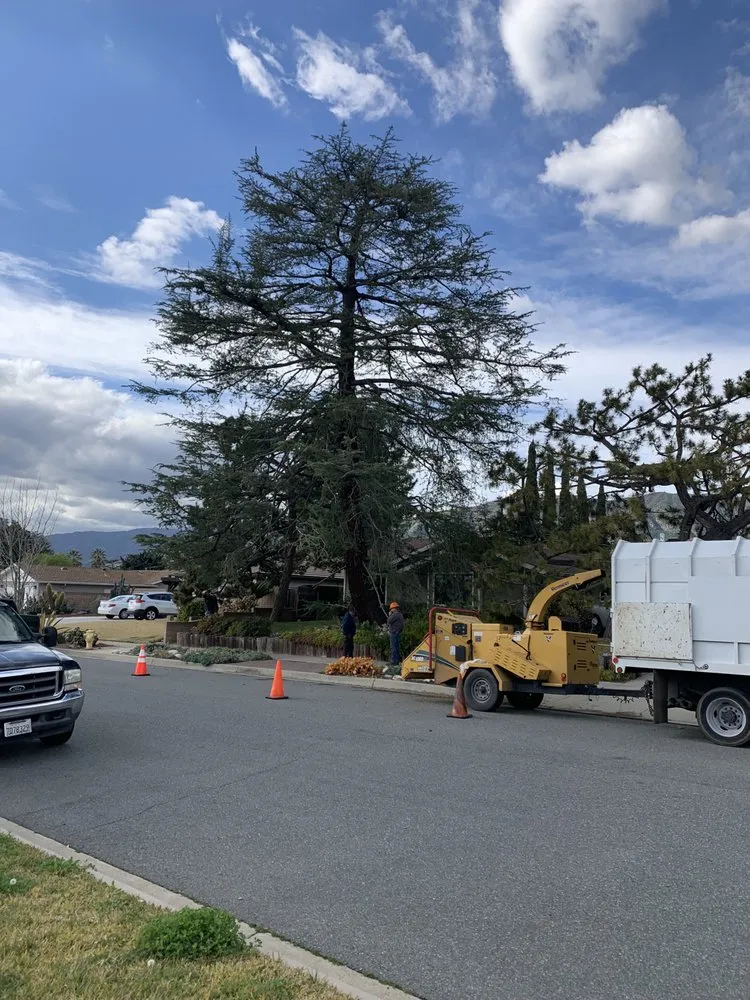 Professional garden landscaping in Covina, CA by OMG Landscaping & Tree Care