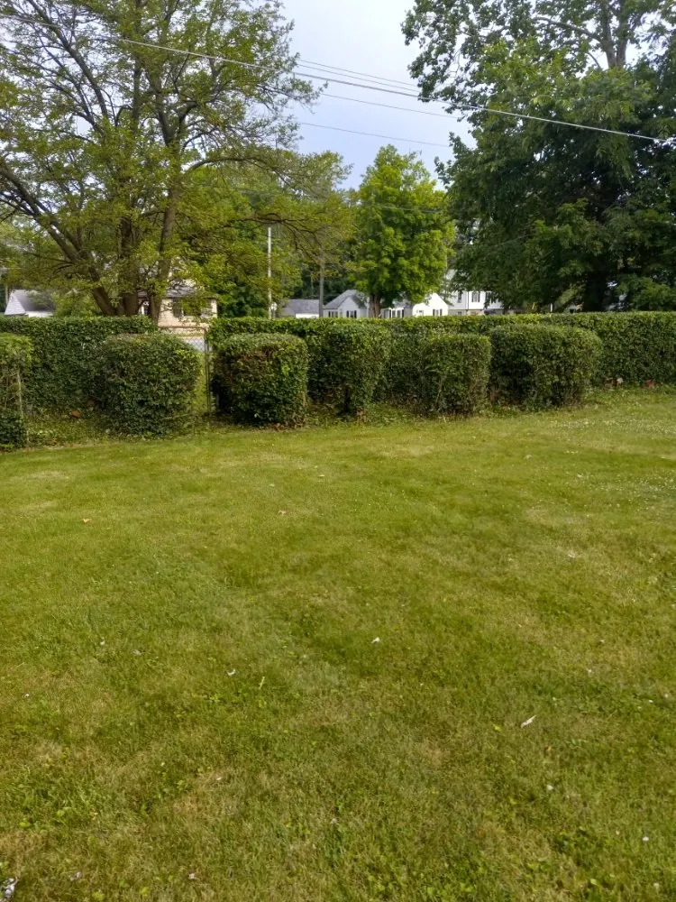 Custom landscape design experts serving Anderson, IN - omg lawncare