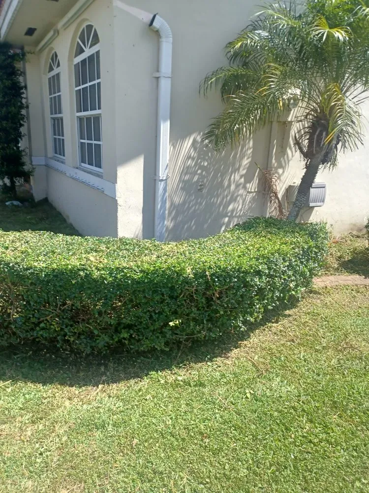 Professional yard cleanup service in Miami, FL - Omgl Affordable Lawn Services