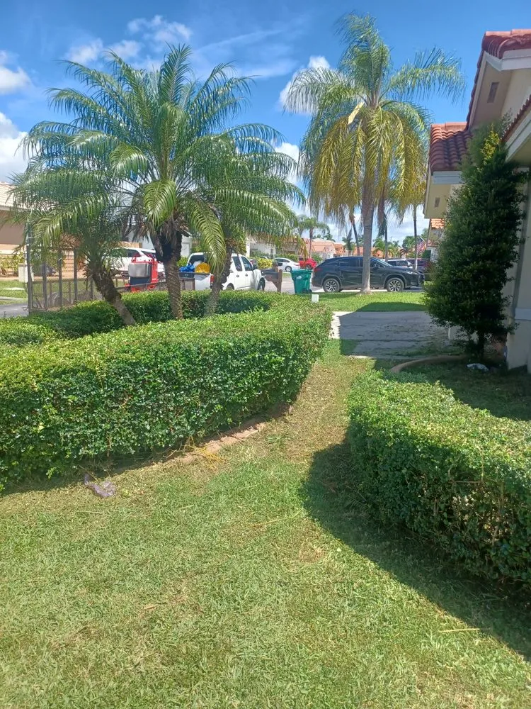 Expert landscaping services for outdoor upgrades across Miami, FL - Omgl Affordable Lawn Services