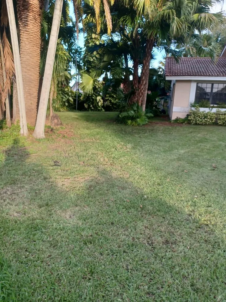 Affordable landscaping services for homes in Miami, FL by Omgl Affordable Lawn Services