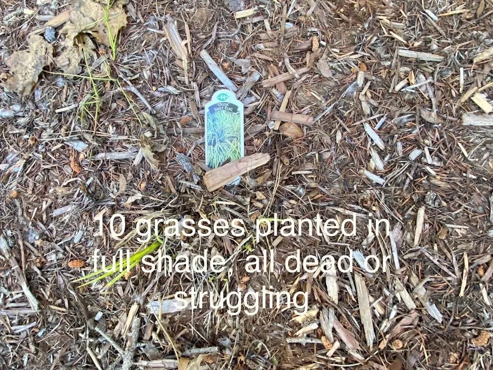 Trusted lawn mowing service in Littleton, CO by Omni Sprinkler Service and Landscaping