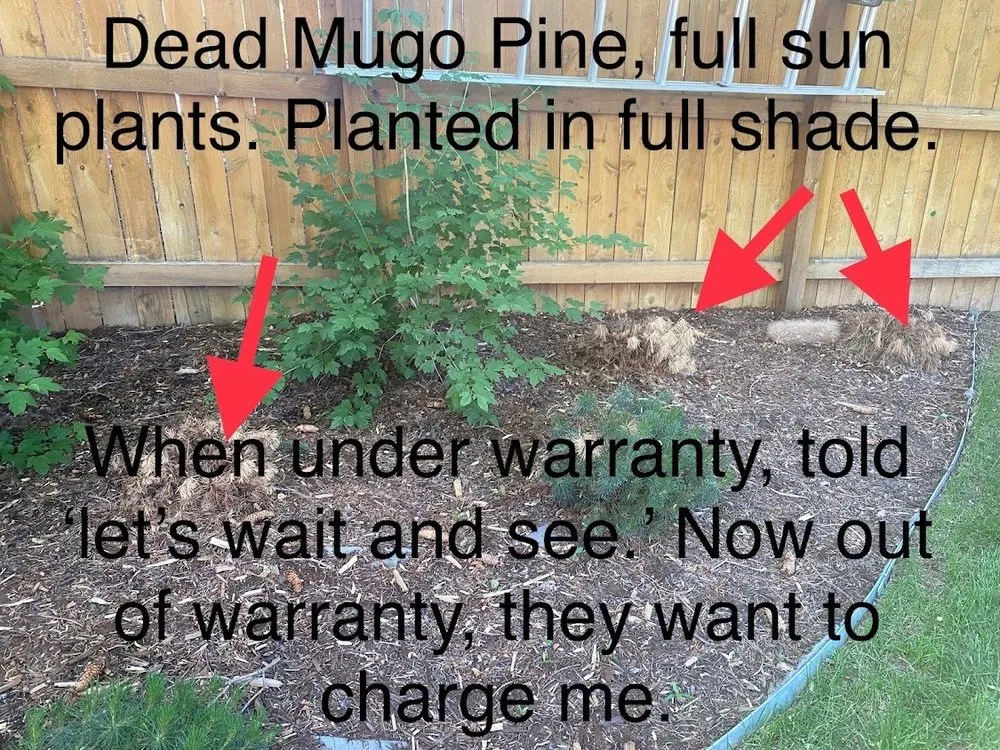 Affordable yard maintenance in Littleton, CO - Omni Sprinkler Service and Landscaping