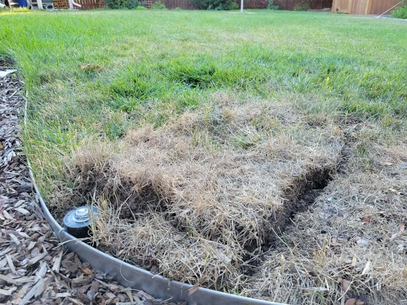 Trusted landscape design experts serving Littleton, CO - Omni Sprinkler Service and Landscaping