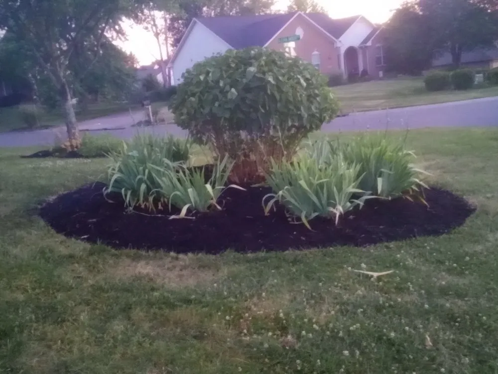 Top-rated garden landscaping in Columbus, OH - Omni Tree and Landscape