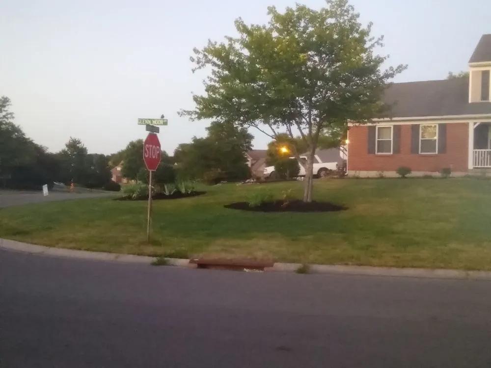 Top-rated yard cleanup service in Columbus, OH by Omni Tree and Landscape