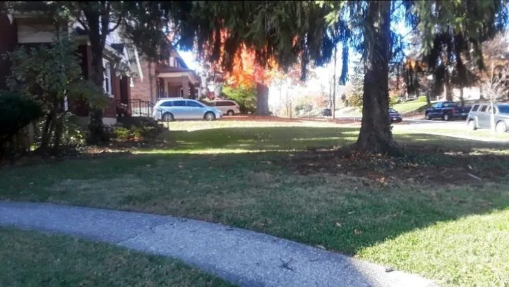 Professional landscape design for homes across Columbus, OH - Omni Tree and Landscape