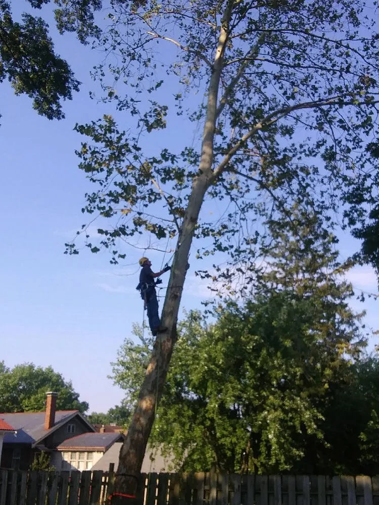 Reliable residential landscaping for beautiful yards across Columbus, OH - Omni Tree and Landscape