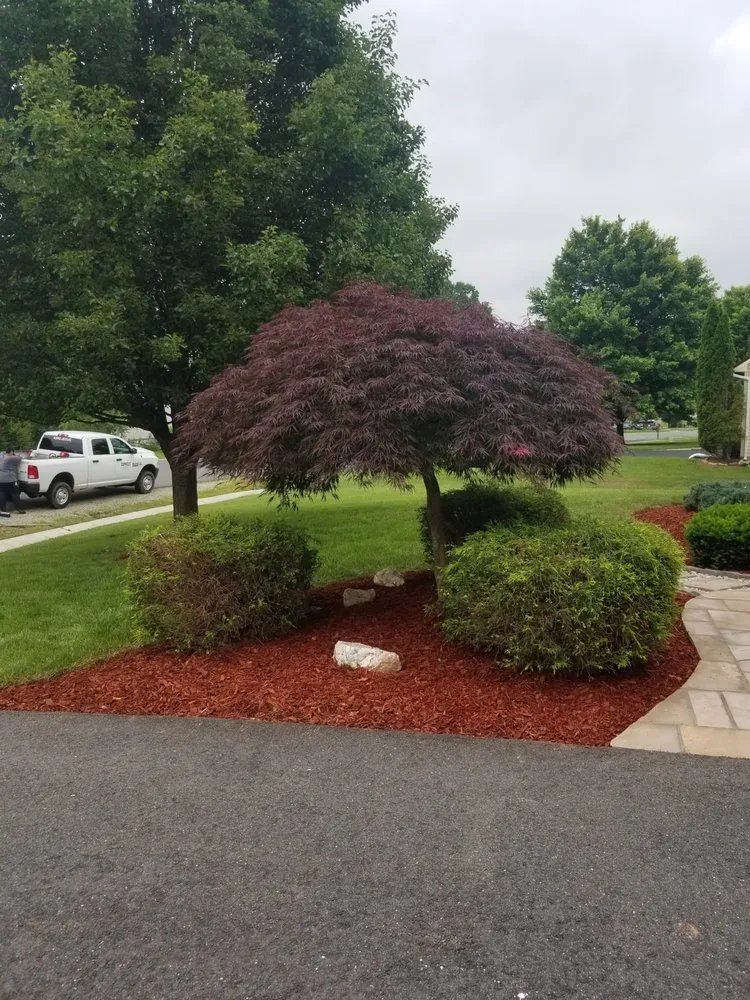 Trusted yard maintenance for homes in Woodbridge, VA by Omnicut Landscaping